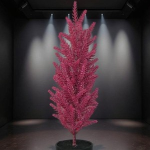 Tannenbaum bordeaux