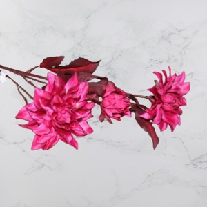 Dahlie dunkelpink