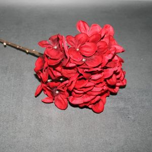 Hortensie rot